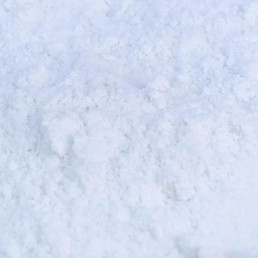 Leche de Coco en Polvo Ecológica