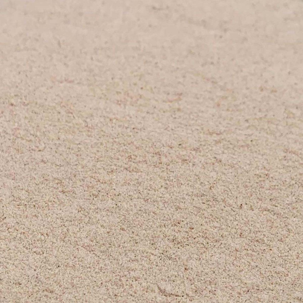 Psyllium en polvo Ecológico