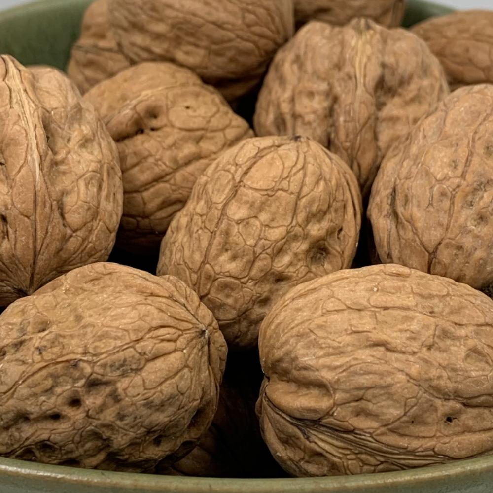 Spanish In-Shell Walnuts