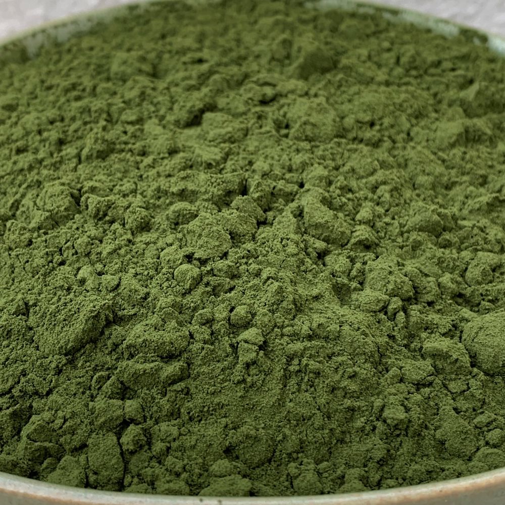 Chlorella en poudre