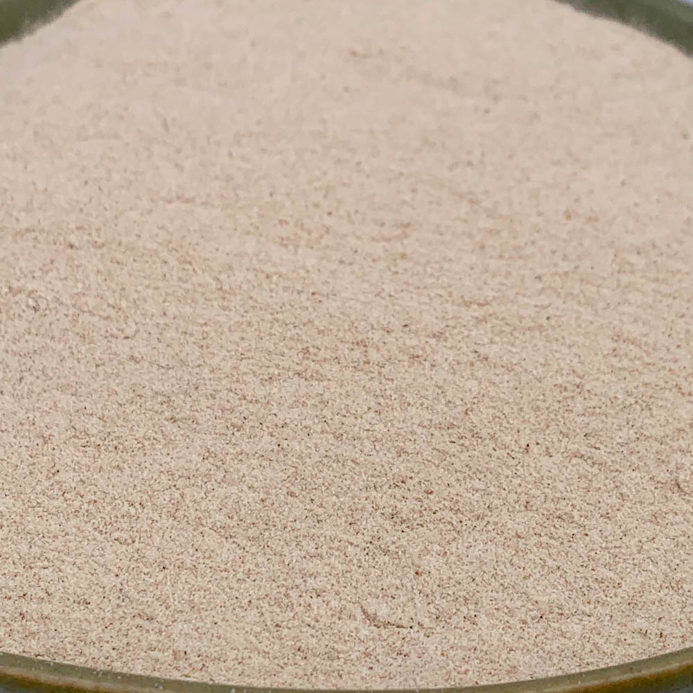 Psyllium en polvo Ecológico