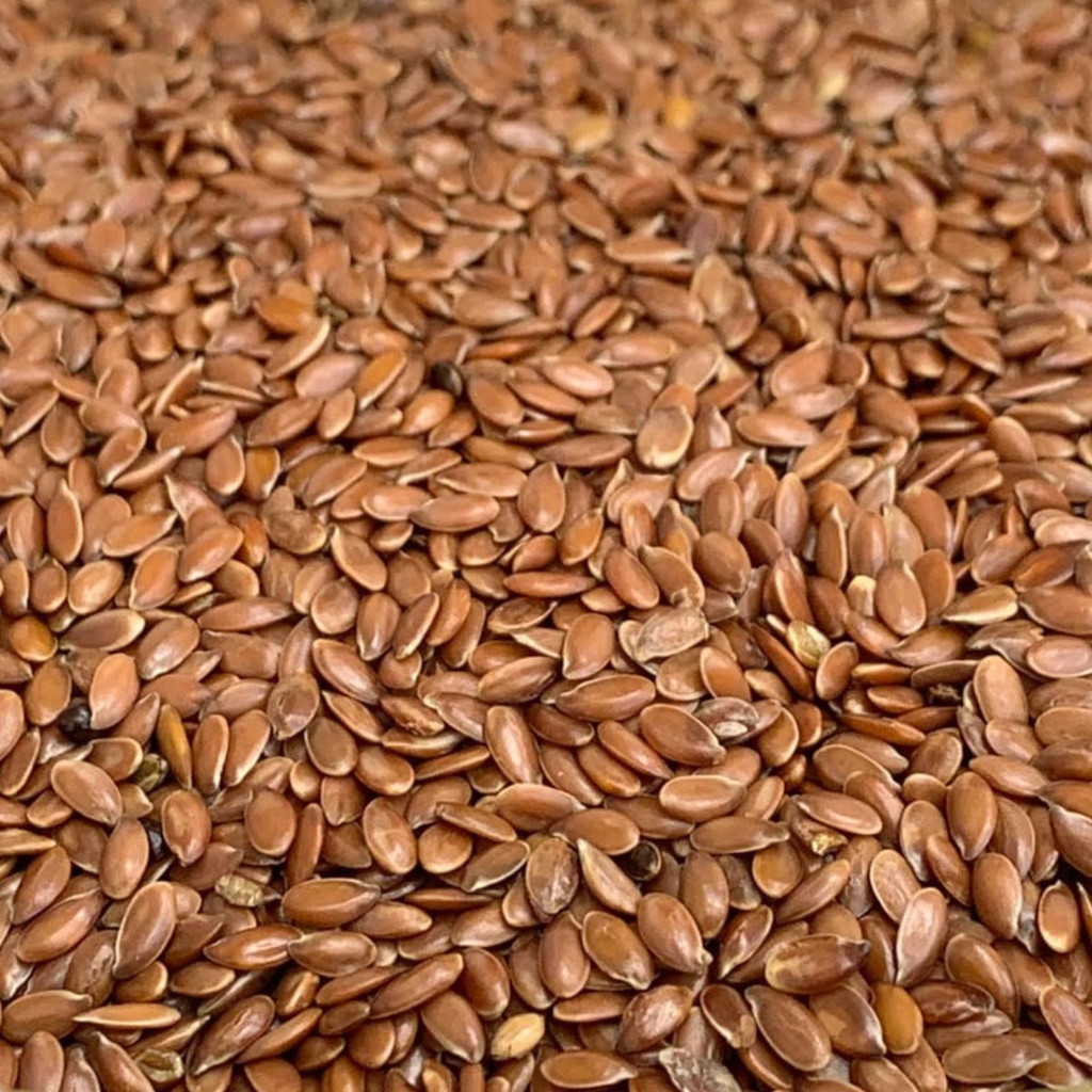 Graines de Lin Brun Biologiques