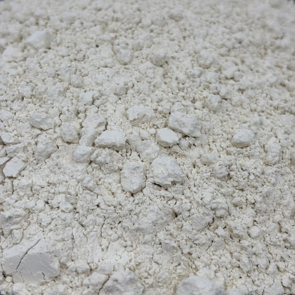 Protéine de Riz Biologique en Poudre