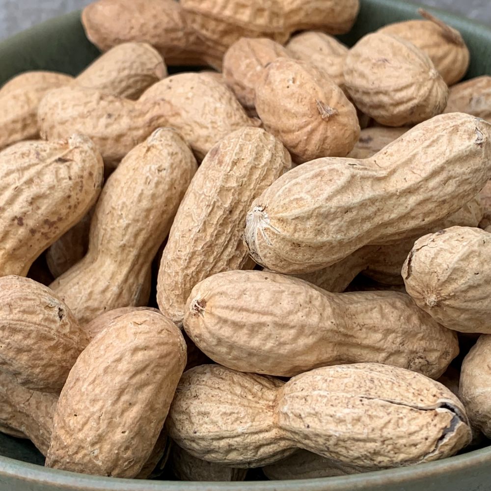 Cacahuètes grillées biologiques avec coque