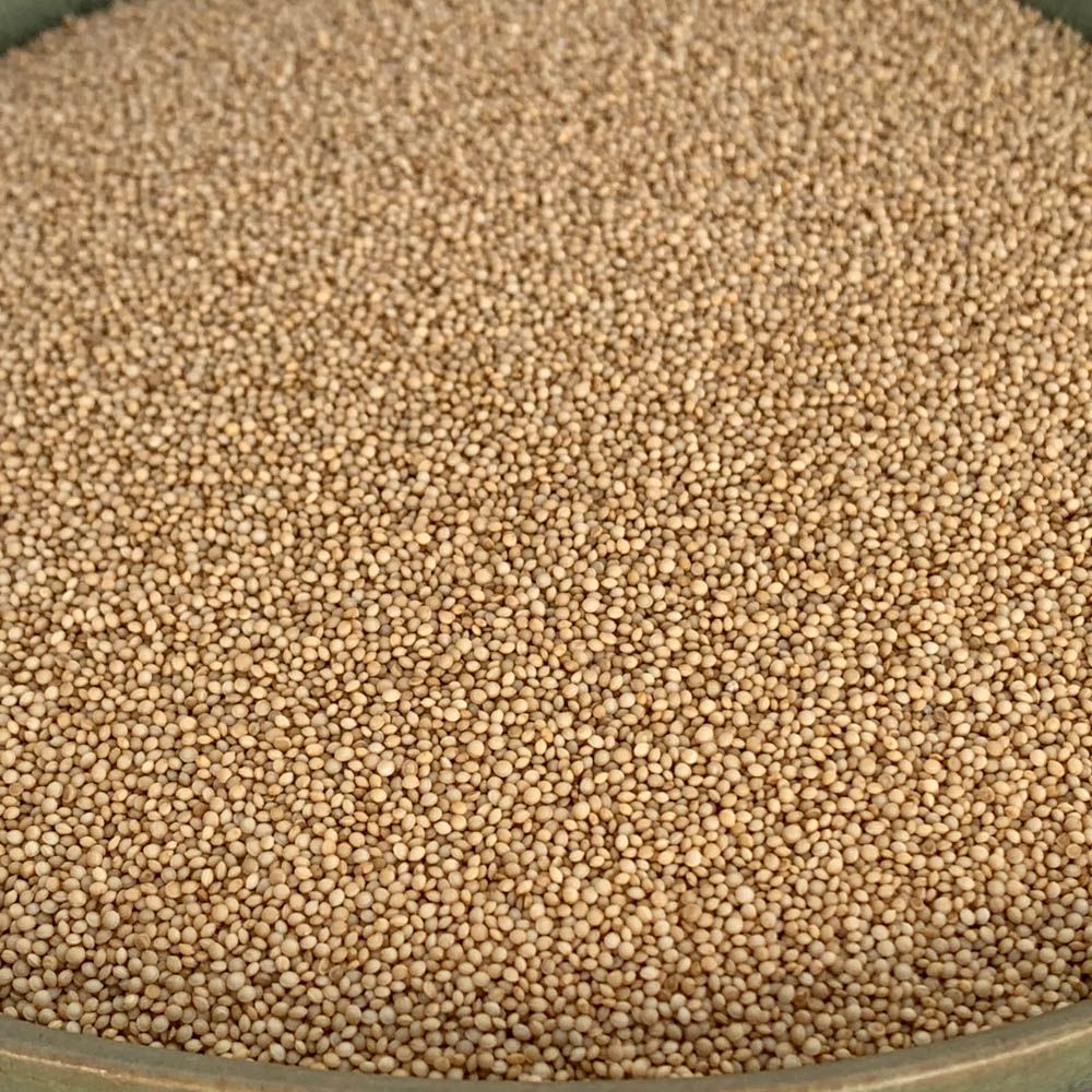 Organic Amaranth Seeds