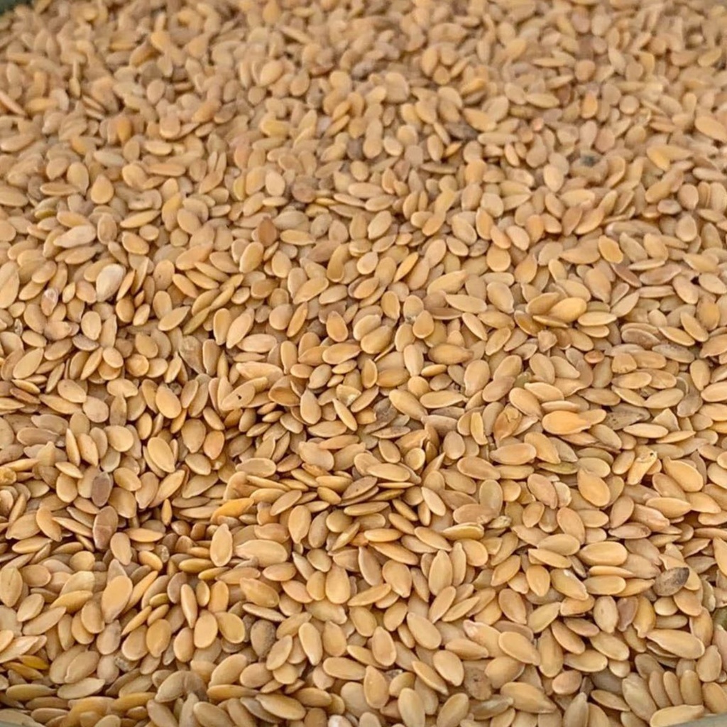 Graines de Lin Dorées Biologiques