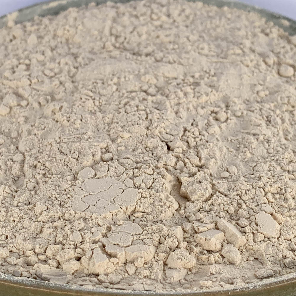 Nutritional Yeast Protein