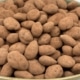 Almendra con chocolate y cacao ECO